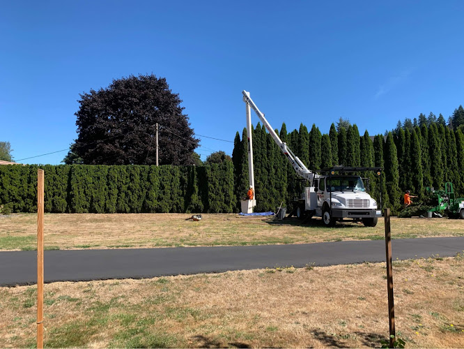 Champ’s Tree Services