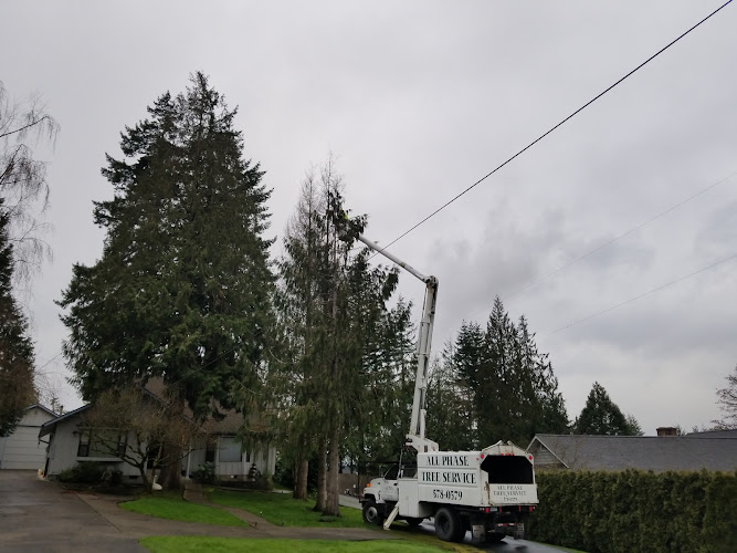 All Phase Tree Service Inc